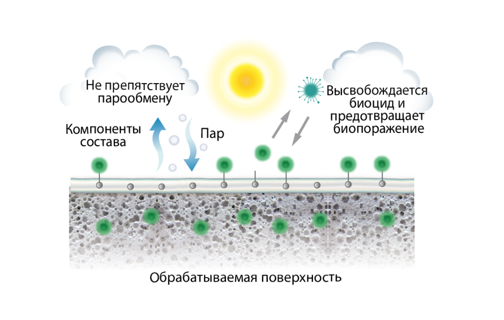 Биоцидная обработка. Механизм действия биоцидов. Биоцидная пленка. Биоциды строительство.